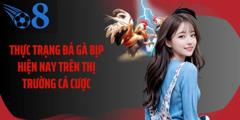 Thực trạng đá gà bịp hiện nay trên thị trường cá cược
