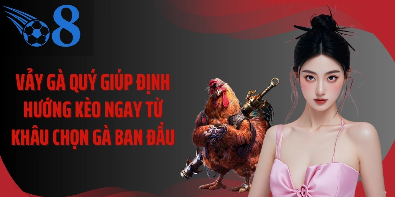 Vảy gà quý giúp định hướng kèo ngay từ khâu chọn gà ban đầu